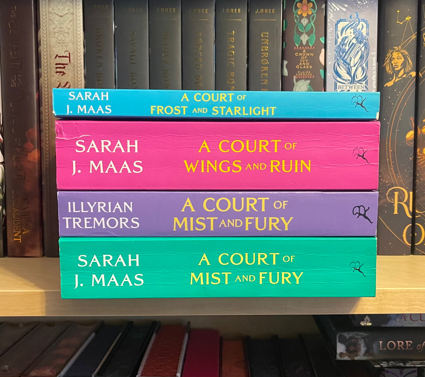A Court of Mist and Fury - Rhy’s POV Paperback